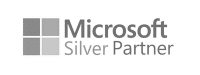 MS silver partner ZW